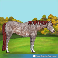 Horse Color:Painted Chocolate Brown Ice Sabino Tobiano 