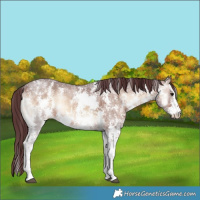 Horse Color:Chocolate Brown Ice Onyx Sabino 