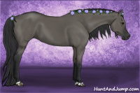 Horse Color:Grullo 