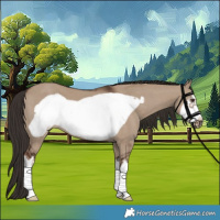 Horse Color:White Spotted Liver Red Dun Frame 