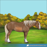 Horse Color:Chocolate Palomino 