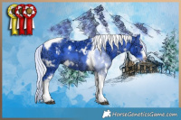 Horse Color:Watercolor White Spotted Silver Brown Chinchilla Ice Tobiano Frame 