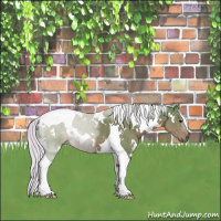 Horse Color:Watercolor White Spotted Silver Black Tobiano 