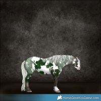 Horse Color:White Spotted Silver Black Ice Frame 