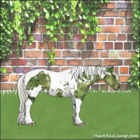 Horse Color:Watercolor White Spotted Silver Black Ice Tobiano 