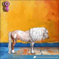 Horse Color:White Spotted Silver Black 