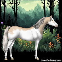 Horse Color:Silver Classic Champagne Dun Splash Frame 