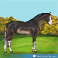 Horse Color:White Spotted Liver Chestnut Splash 