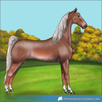 Horse Color:Chestnut Mushroom 