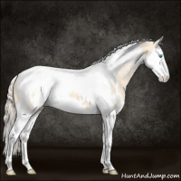 Horse Color:White Spotted Perlino Splash Tobiano