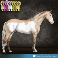Horse Color:Silver Bay Dun Frame