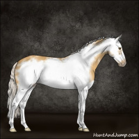 Horse Color:White Spotted Silver Buckskin Dun Splash Frame 