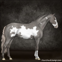 Horse Color:Silver Blue Roan Frame 