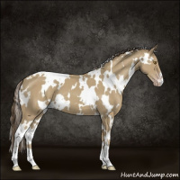 Horse Color:White Spotted Classic Cream Champagne 