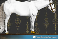 Horse Color:White Spotted Smoky Black Sabino Snowcap 
