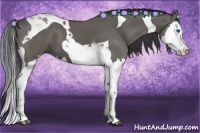 Horse Color:Grullo Splash Tobiano 