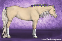 Horse Color:Silver Classic Champagne Dun Splash Frame 