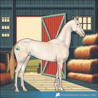 Horse Color:White Spotted Buckskin Ice Pearl 