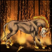 Horse Color:Red Roan