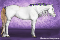 Horse Color:White Spotted Red Dun Rabicano  and White Spotted Red Dun 