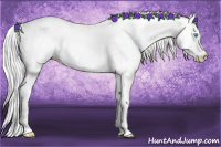 Horse Color:Cremello Dun Tobiano 