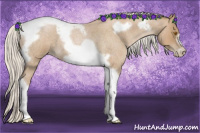Horse Color:Silver Blue Roan Pearl Tobiano Frame 