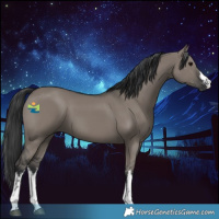 Horse Color:White Spotted Grullo 