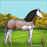 Horse Color:Brown Roan Splash 