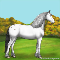 Horse Color:Bay Splash Tobiano 