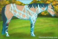 Horse Color:Thunderstruck Bay Dun