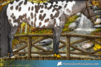 Horse Color:Brown Dun Blanket Brindle 