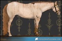 Horse Color:Red Dun Pearl Brindle 