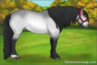 Horse Color:Brown Chinchilla