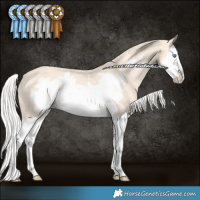 Horse Color:Silver Perlino Splash Frame Rabicano