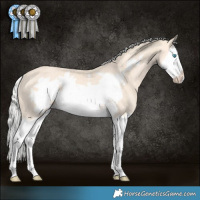 Horse Color:Silver Perlino Splash Frame Rabicano 