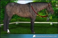 Horse Color:Brown Dun Varnish Brindle 
