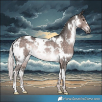 Horse Color:Platinum White Spotted Chocolate Palomino Rabicano 