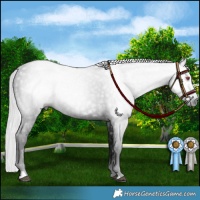 Horse Color:Gray Platinum Silver Black Chinchilla 