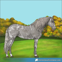 Horse Color:Silver Black Ice
