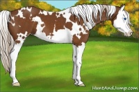 Horse Color:White Spotted Silver Buckskin Splash 