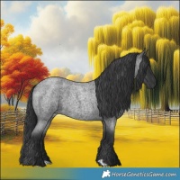 Horse Color:Blue Roan 