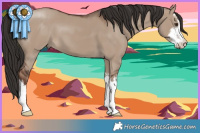 Horse Color:White Spotted Liver Red Dun 
