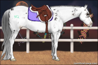 Horse Color:Brown Sabino 