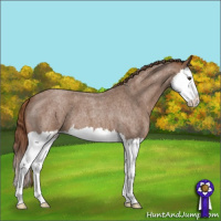 Horse Color:Red Roan Splash Varnish 