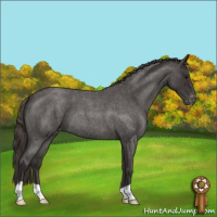 Horse Color:Smoky Blue Roan Varnish 