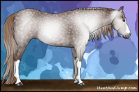 Horse Color:Gray Chestnut 