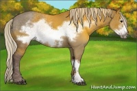 Horse Color:Silver Grullo Frame 