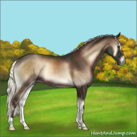 Horse Color:Liver Red Onyx Mushroom Rabicano 