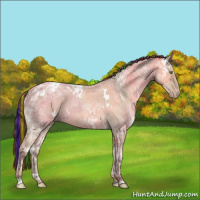 Horse Color:Painted White Spotted Amber Champagne Ice Roan Varnish 