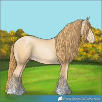 Horse Color:Smoky Black Pearl Rabicano 